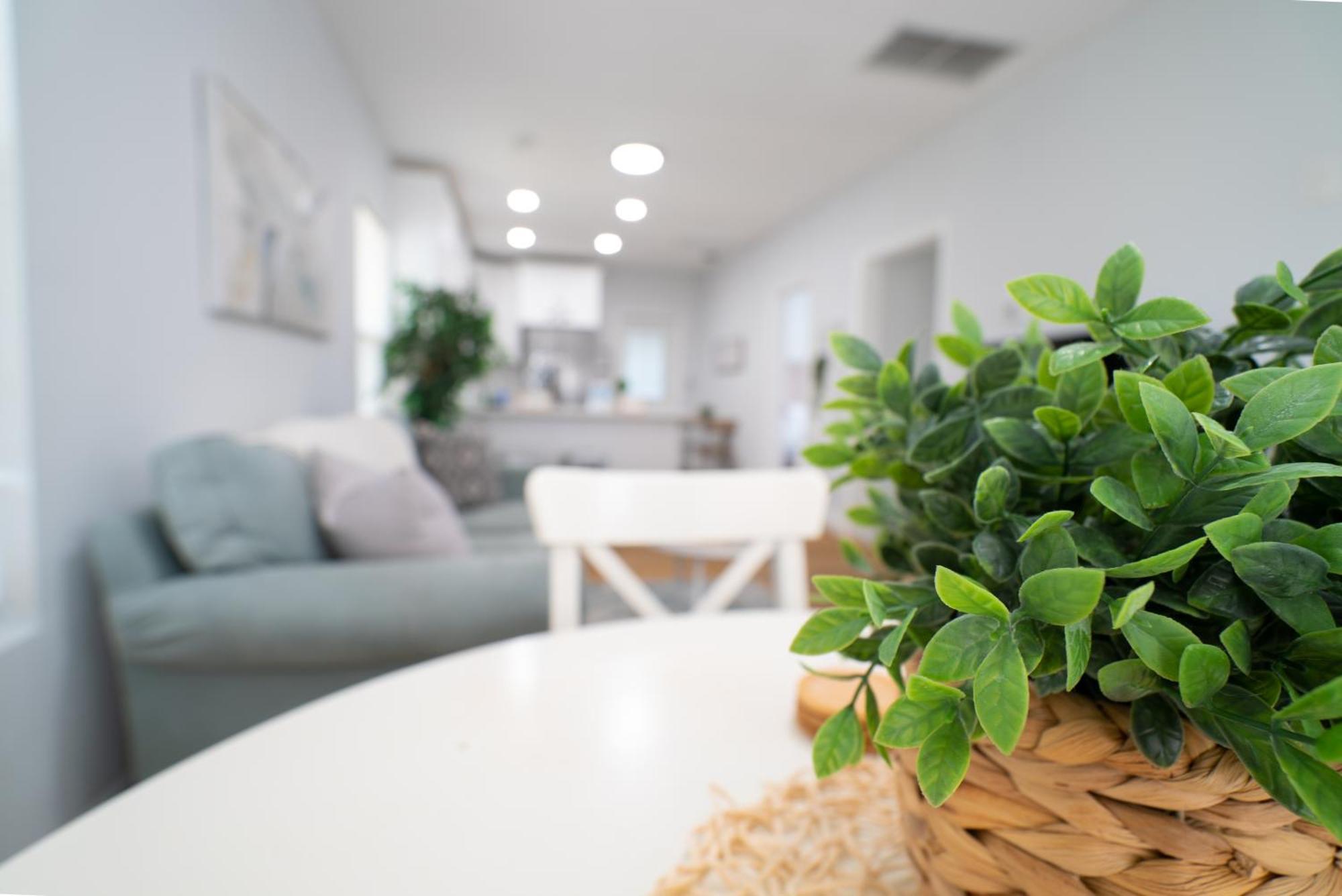 Cozy Stylish Chic Home Ybor, Dt Central Location Tampa Exteriör bild